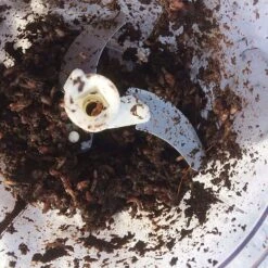 Worm Whizzer -Outdoor Life Shop go 329123 c